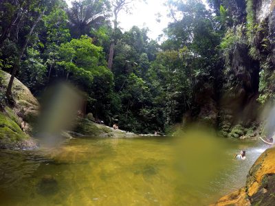 2017-01-03 Caminata en la Selva (48a)