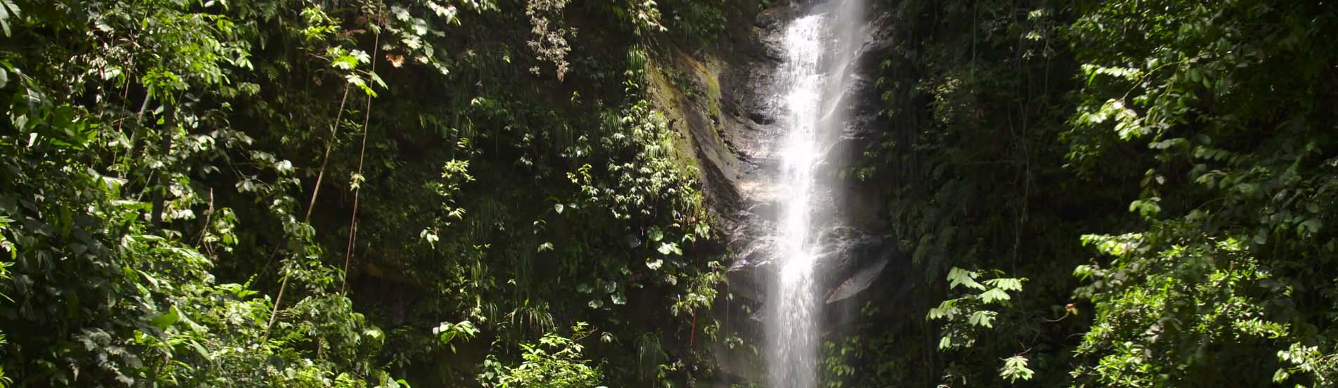 frontal-single-tour-ahuashiyacu-golondrinas