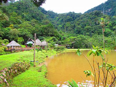 paraiso-verde-tour-ahuashiyacu