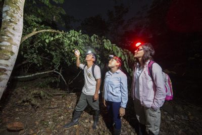 paseo-nocturno-tarapoto-3