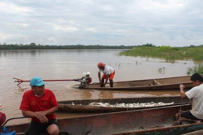 pesca-chazuta